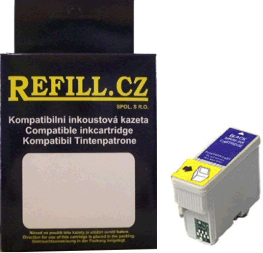 Epson T066