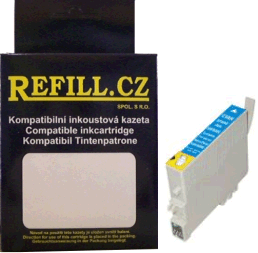 Epson T0482