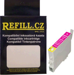 Epson T0483