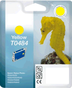 Epson T0484
