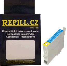 Epson T0485